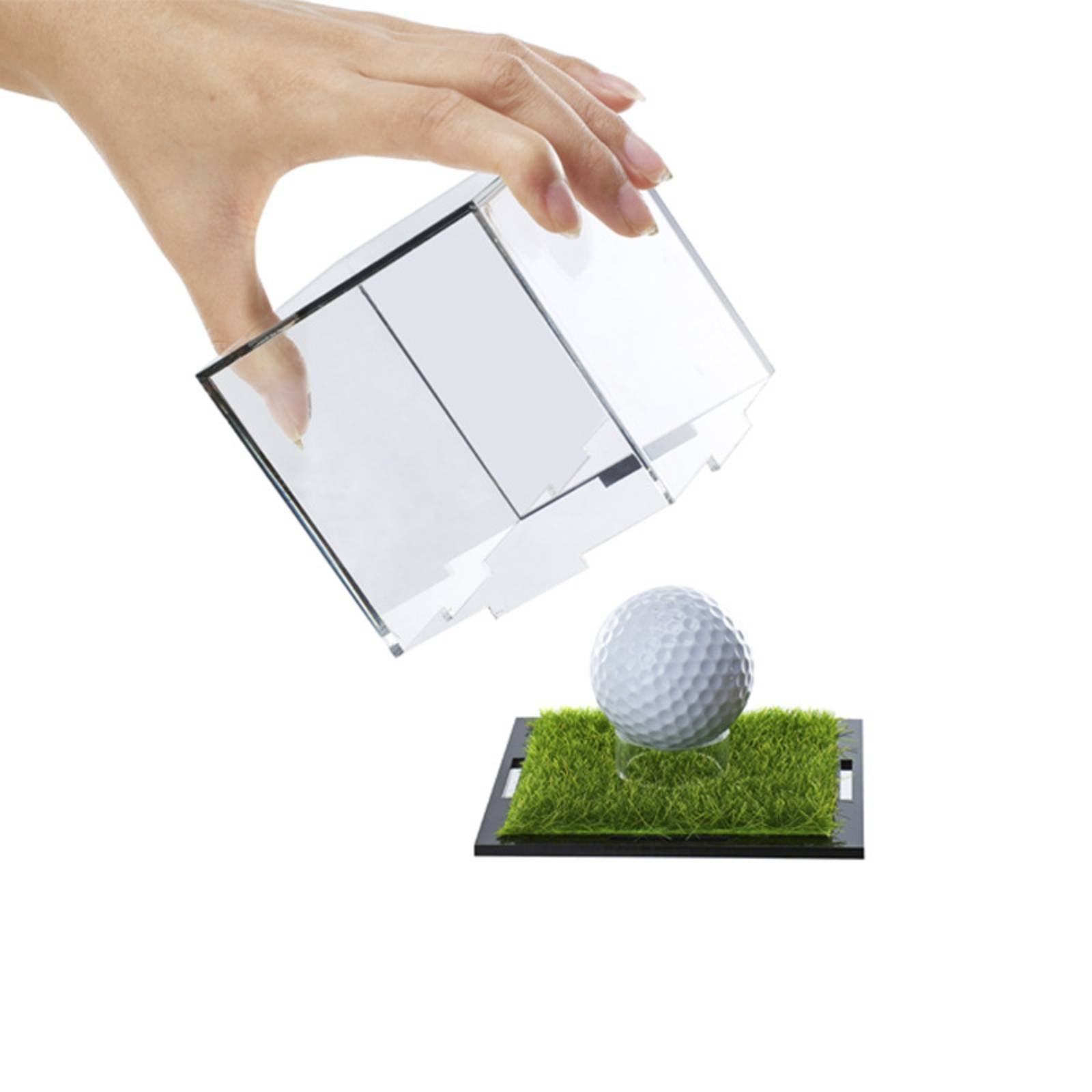 Spiegelrückwand-Vitrine, abneh – Display Case Acrylic Bewertung und Preis